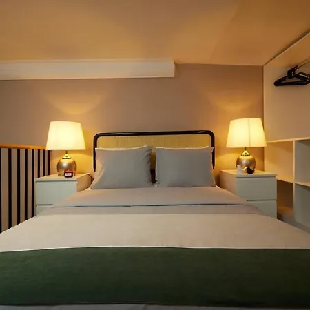 Historic High-ceiling 2-flat Combo - Taksim *