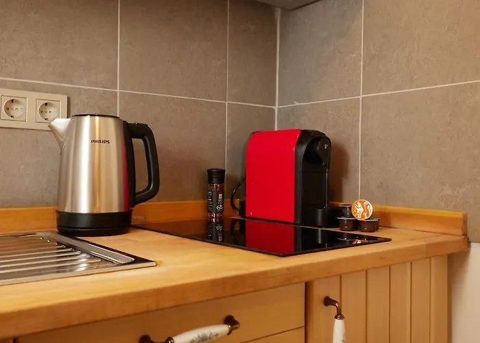 Historic High-ceiling 2-flat Combo - Taksim Appartement