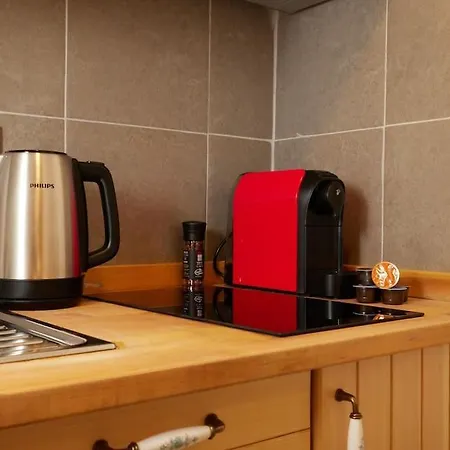Historic High-ceiling 2-flat Combo - Taksim Apartamento