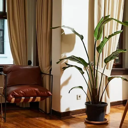 Appartement Spacious 3br W Elevator&ac In Taksim Istambul