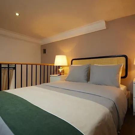 Historic High-ceiling 2-flat Combo - Taksim Apartamento